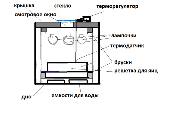  Diagramme de l'incubateur