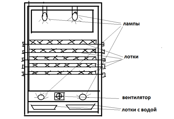  Schéma de l'incubateur du réfrigérateur