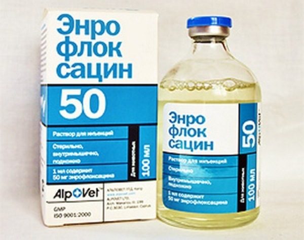  Enrofloxacine
