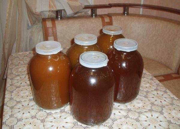  variétés de miel