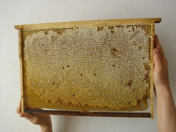 Cadre avec miel imprimé