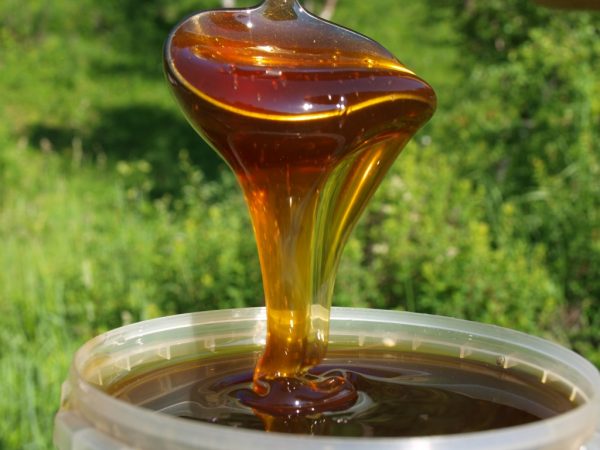  Miel de miel naturel