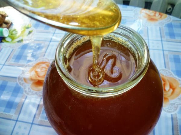  Miel de montagne dans un bocal en verre