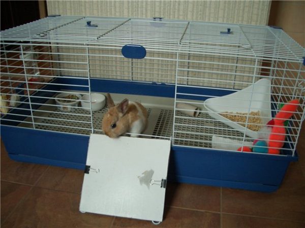  Cage pour lapin décoratif