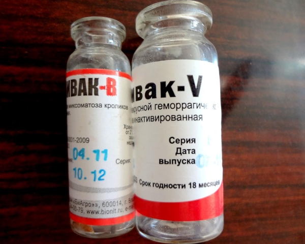  Vaccin pour les lapins RABBIVAK-V et RABBIVAK-V