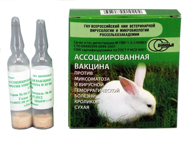  Le vaccin associé contre la myxomatose et la maladie hémorragique virale du lapin est sec