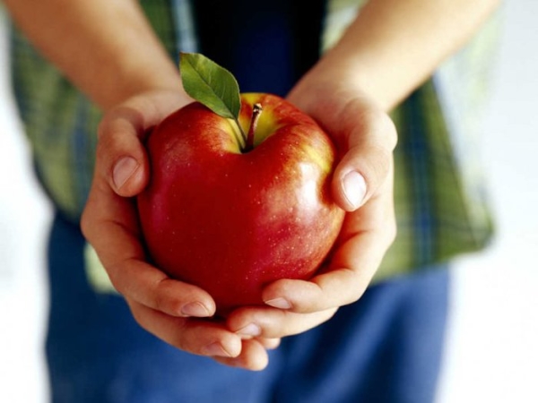  Quelle est l'utilisation, la composition, le mal des pommes au corps humain, ce fruit est-il possible pour tout le monde?