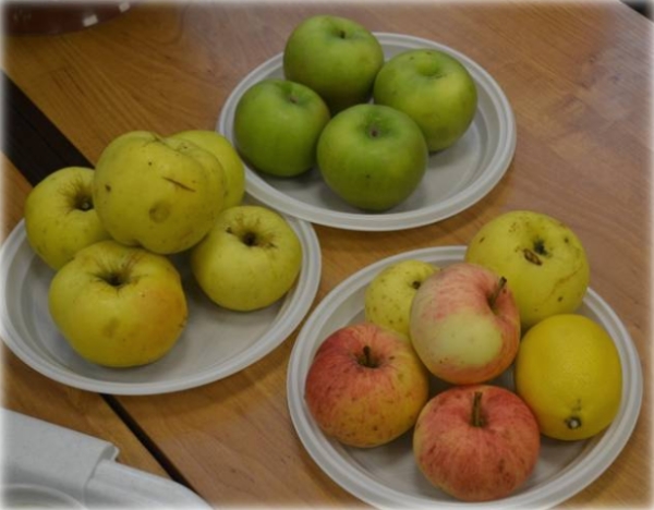  La teneur en calories des pommes dépend de leur variété, de la taille du fruit et du mode de récolte.