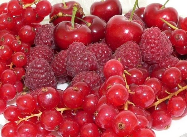  Fruits rouges - cerise, framboise et cassis