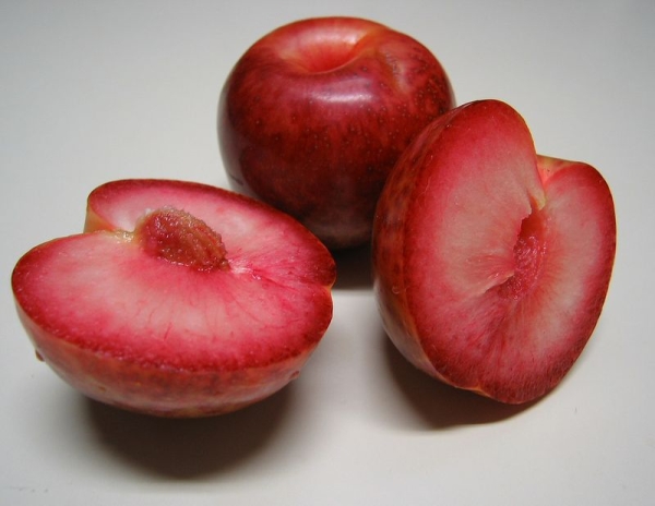  Pluot est un hybride de ¼ composé d'abricot et de de prune