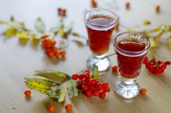  La teinture Rowan est non seulement une boisson parfumée et savoureuse, mais également très utile