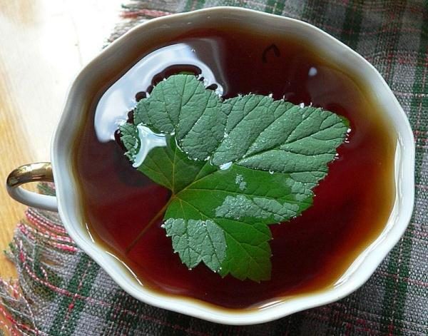  Le thé à la feuille de cassis a un effet tonique.