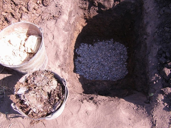  Au printemps ou en automne, ils préparent une fosse pour le repiquage: 40 cm de profondeur et 70 cm de largeur, remplissez-la de substrat.