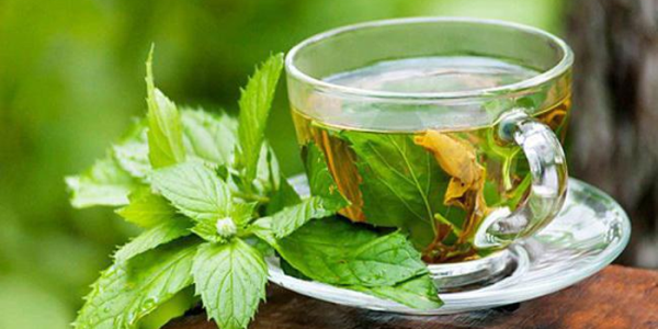  Le thé de feuilles de cassis augmente l'hémoglobine