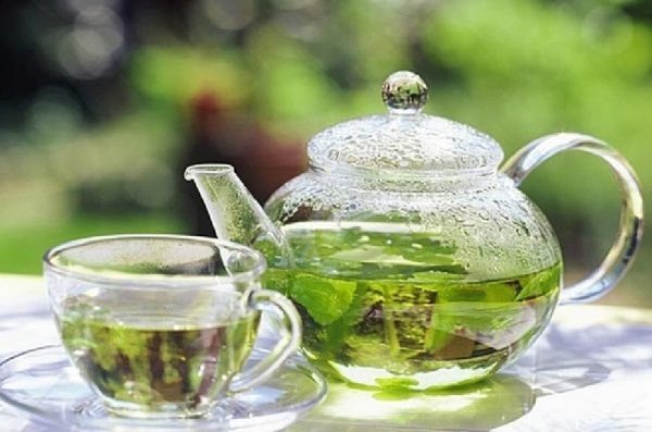 Le thé des feuilles vertes de l'irgi procurera un sommeil sain et sain