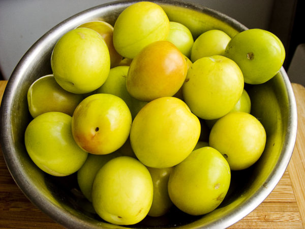  Fruits mûrs et récoltés de prune de cerise