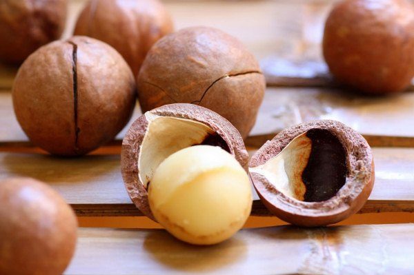  Les noix de macadamia sont très appréciées pour leurs propriétés curatives.