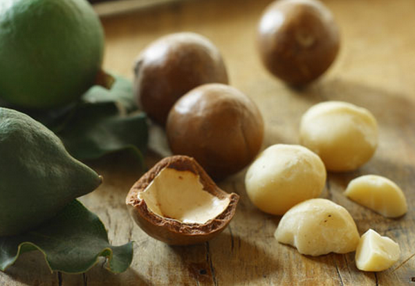  Les fruits de macadamia sont très souvent utilisés dans les cosmétiques d’élite.