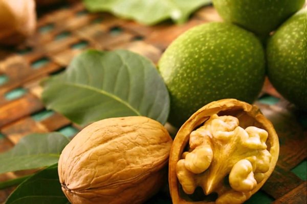  Les avantages et les inconvénients des noix, des recettes de la médecine traditionnelle
