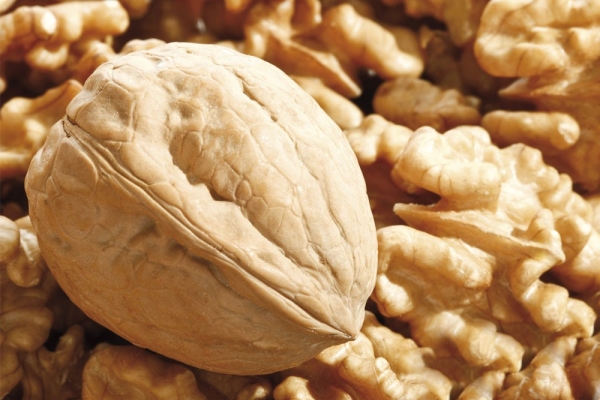  La noix est contre-indiquée en cas d'ulcère, d'allergie, d'hypertension