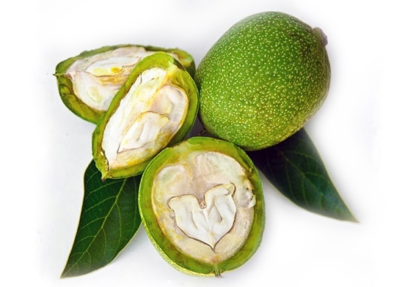  La noix verte et sa peau contiennent une grande quantité de vitamines, d'acides gras et de tanins