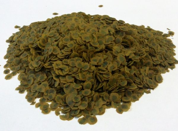  Les lentilles sèches peuvent être utilisées comme vinaigrette verte.
