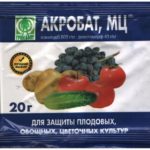  Pour la prévention du mildiou des pommes de terre, vous pouvez utiliser le médicament Acrobat