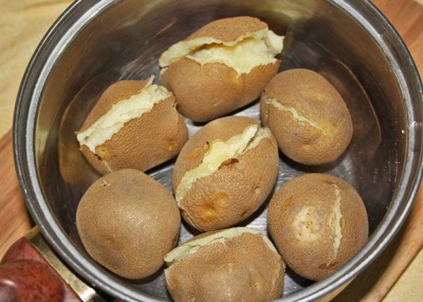  Pommes de terre bouillies variété Qiwi