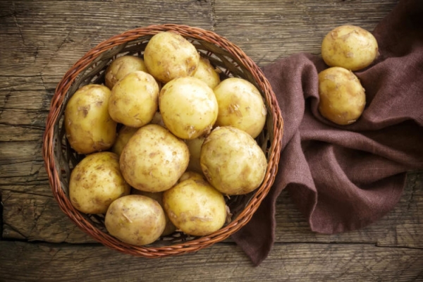  Variétés de pommes de terre Santa: description et caractéristiques, plantation, entretien et stockage