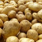  Pommes de terre variétales