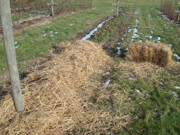  Pour l'hiver, Albu doit être à l'abri