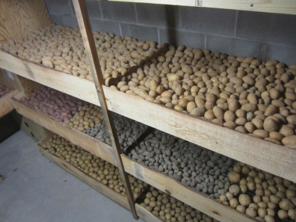  Le meilleur endroit pour les pommes de terre - cave avec ventilation