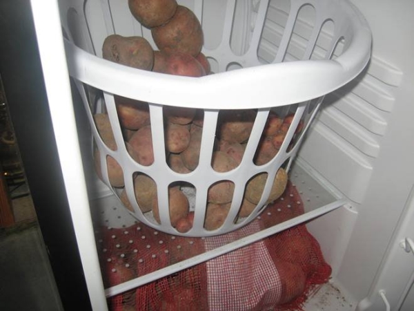 Vous pouvez conserver les pommes de terre au réfrigérateur pendant 10 à 14 jours maximum, en observant le régime