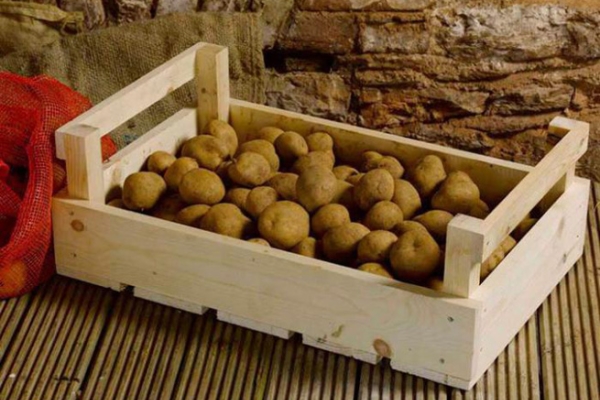  Est-il possible de stocker des pommes de terre dans le réfrigérateur, la cave, l'appartement et d'autres lieux