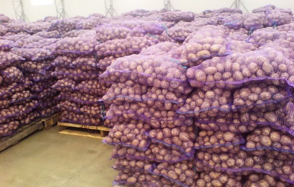  entrepôt de pommes de terre