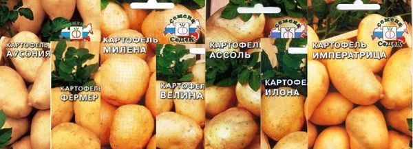  variétés de pommes de terre