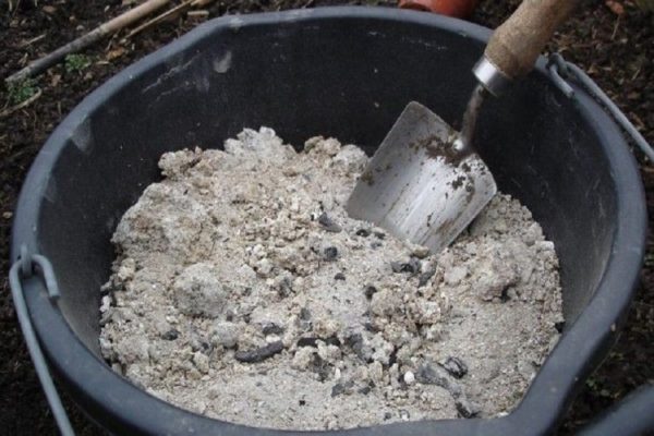  Avant de planter des semis dans le trou, ajoutez de la cendre de bois