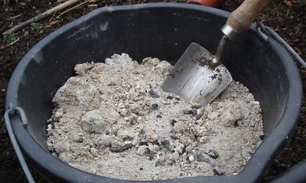  Du compost, des cendres et une coquille d'oeuf doivent être ajoutés au sol pour la plantation.