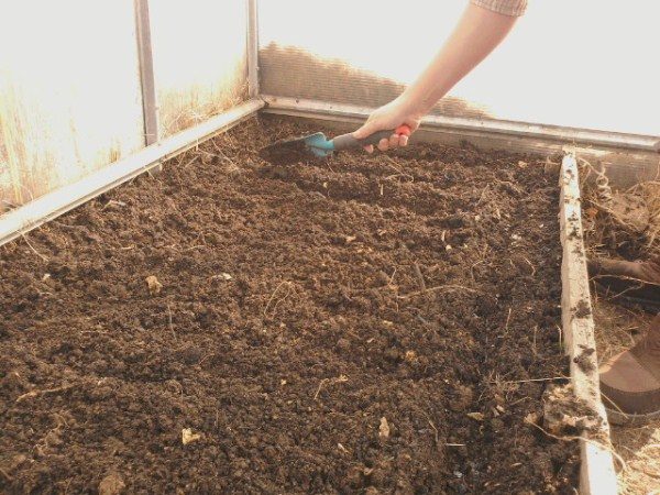  Préparer le sol pour la plantation de semences de tomates