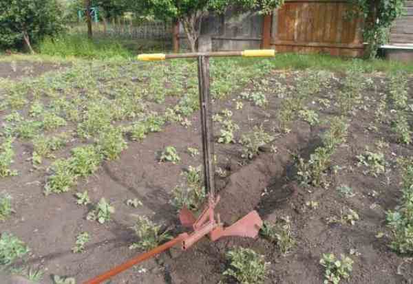  Charrue manuelle pour planter des pommes de terre