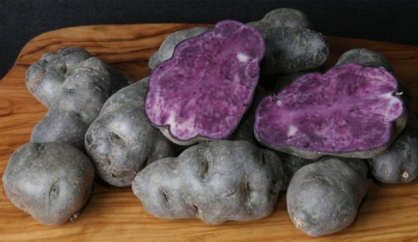  Les variétés de pomme de terre à la violette comprennent celles qui sont intensément colorées non seulement par la croûte, mais également par la pulpe.