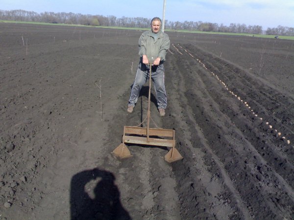  Planter des pommes de terre avec des appareils portatifs