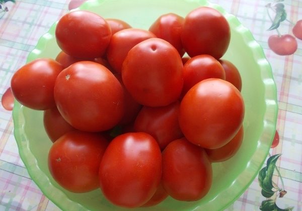  Fruits de tomate Countryman a un arome riche et un gout excellent