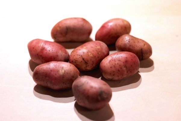  Pommes de terre de mi-saison, adaptées à la culture dans les régions centrale et Volga-Vyatka