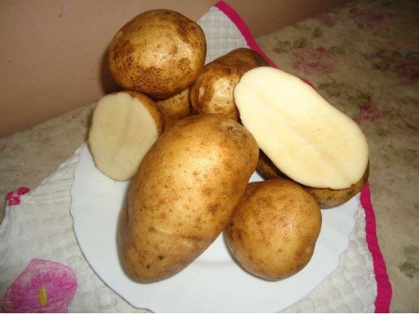  Pommes de terre chance