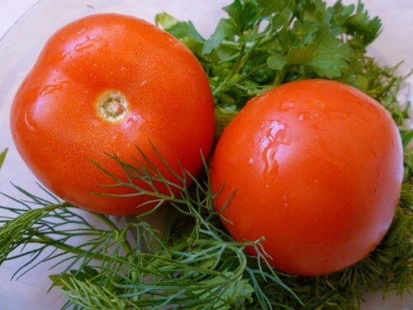  Variété ultra précoce de tomates Mystery