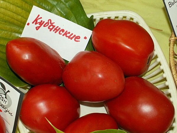  Kuban aux tomates
