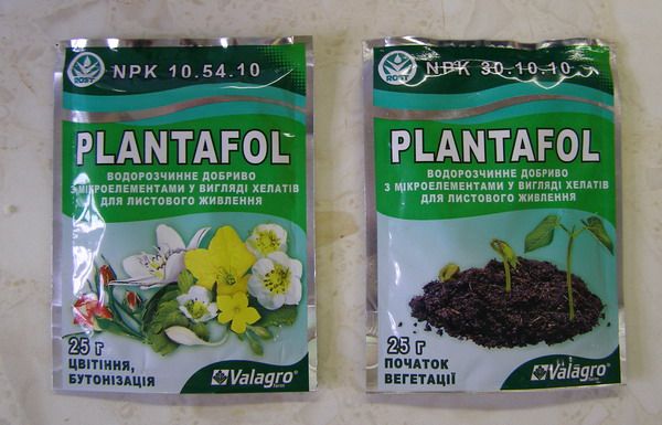  Vous pouvez utiliser l'engrais composé Plantafol comme aliment.