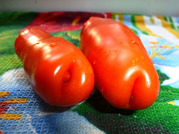  Tomate virilité