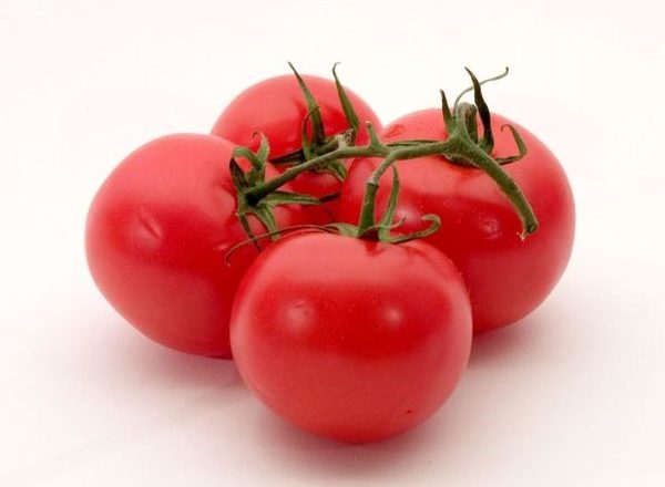  Tomate tomate